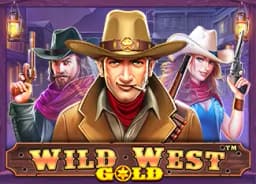 reworkfurnishings: Wild West Gold